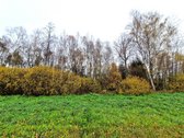 Utenos Priemiestyje, Grybelių Kaime, Kuris - nuotraukos Nr. 2
