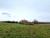 Utenos Priemiestyje, Grybelių Kaime, Kuris - nuotraukos Nr. 5