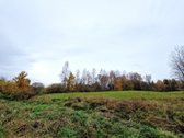 Utenos Priemiestyje, Grybelių Kaime, Kuris - nuotraukos Nr. 6