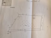 Utenos Priemiestyje, Grybelių Kaime, Kuris - nuotraukos Nr. 7