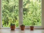 Parduodamas Namas Gamtos Apsuptyje Prie Miško - nuotraukos Nr. 8