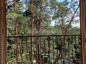 Gyventi ir poilsiauti Druskininkuose, reiškia - nuotraukos Nr. 6