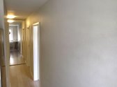 Nuomojamas dviejų kambarių butas renovuotame - nuotraukos Nr. 12