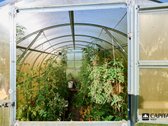 Parduodama sodyba šalia Priekulės, Drukių - nuotraukos Nr. 47