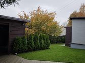 Parduodamas jaukus, pilnai renovuotas ir iš - nuotraukos Nr. 6