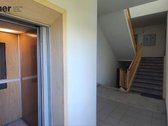 Šeškinėje, Laisvės pr., nuomojamas jaukus 1 - nuotraukos Nr. 15