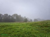 Parduodama Sodyba Prie Virkščių Tvenkinio, - nuotraukos Nr. 11