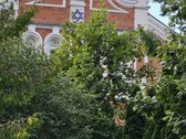 Centre, šalia Sinagogos, parduodamas 7, 3 arų - nuotraukos Nr. 2