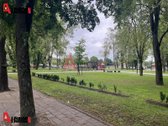 Klaipėdoje, Danės g. išnuomojamas dviejų - nuotraukos Nr. 14