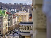 Parduodami jaukiai įrengti studijos tipo - nuotraukos Nr. 22