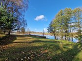 Parduodamas Išskirtinio Grožio Pušų Ir Beržų - nuotraukos Nr. 2
