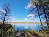 Parduodamas Išskirtinio Grožio Pušų Ir Beržų - nuotraukos Nr. 3