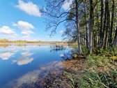 Parduodamas Išskirtinio Grožio Pušų Ir Beržų - nuotraukos Nr. 4