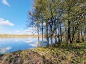Parduodamas Išskirtinio Grožio Pušų Ir Beržų - nuotraukos Nr. 5