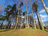 Parduodamas Išskirtinio Grožio Pušų Ir Beržų - nuotraukos Nr. 7