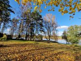 Parduodamas Išskirtinio Grožio Pušų Ir Beržų - nuotraukos Nr. 9