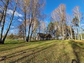 Parduodamas Išskirtinio Grožio Pušų Ir Beržų - nuotraukos Nr. 12