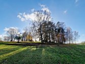 Parduodamas Išskirtinio Grožio Pušų Ir Beržų - nuotraukos Nr. 14