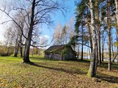 Parduodamas Išskirtinio Grožio Pušų Ir Beržų - nuotraukos Nr. 15