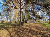 Parduodamas Išskirtinio Grožio Pušų Ir Beržų - nuotraukos Nr. 16