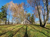 Parduodamas Išskirtinio Grožio Pušų Ir Beržų - nuotraukos Nr. 17