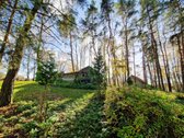 Parduodamas Išskirtinio Grožio Pušų Ir Beržų - nuotraukos Nr. 18