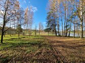 Parduodamas Išskirtinio Grožio Pušų Ir Beržų - nuotraukos Nr. 19