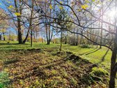 Parduodamas Išskirtinio Grožio Pušų Ir Beržų - nuotraukos Nr. 22
