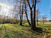 Parduodamas Išskirtinio Grožio Pušų Ir Beržų - nuotraukos Nr. 23