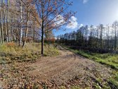 Parduodamas Išskirtinio Grožio Pušų Ir Beržų - nuotraukos Nr. 24