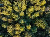 Parduodamas Žemės Sklypas Su Statybos Leidimu - nuotraukos Nr. 18