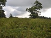 Parduodu 3,2 ha. sklypą Švenčionių aps. - nuotraukos Nr. 2