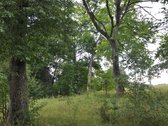 Parduodu 3,2 ha. sklypą Švenčionių aps. - nuotraukos Nr. 3