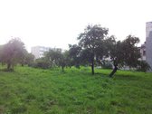 Miesto Ligoninė, Santechnika Visose Palatose . - nuotraukos Nr. 9