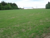1) Jaunystės g. 78, Naujakiemio k.,