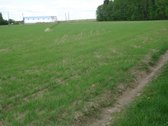 1) Jaunystės g. 78, Naujakiemio k., - nuotraukos Nr. 2