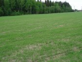 1) Jaunystės g. 78, Naujakiemio k., - nuotraukos Nr. 3