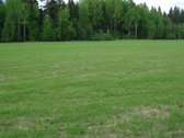 1) Jaunystės g. 78, Naujakiemio k., - nuotraukos Nr. 4