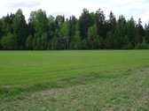 1) Jaunystės g. 78, Naujakiemio k., - nuotraukos Nr. 5