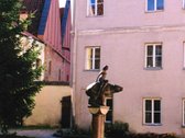 Išnuomojamas butas Stikliu g.6. "Stiklo - nuotraukos Nr. 14