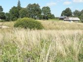 Parduodamas net 14.5 Ha Žū sklypas,
