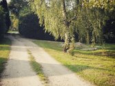 Tauragės rajone (Žygaičių miest.) parduodamas - nuotraukos Nr. 5