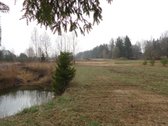 Didžiojoje Riešėje, privačių namų kvartale, Didžiojoje Riešėje, privačių namų kvartale,