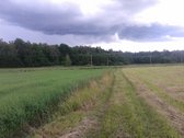 Parduodu (Išnuomoju) sklypą pamiškėje 4ha