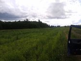Parduodu (Išnuomoju) sklypą pamiškėje 4ha - nuotraukos Nr. 2