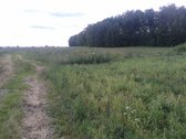 Parduodu (Išnuomoju) sklypą pamiškėje 4ha - nuotraukos Nr. 3