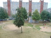 Išnuomojamas tvarkingas ir jaukus 1 kambario - nuotraukos Nr. 13