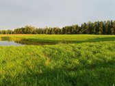 Lekėčių kaime, Šakių rajone, ramioje,