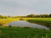 Lekėčių kaime, Šakių rajone, ramioje, - nuotraukos Nr. 2