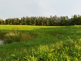 Lekėčių kaime, Šakių rajone, ramioje, - nuotraukos Nr. 3
